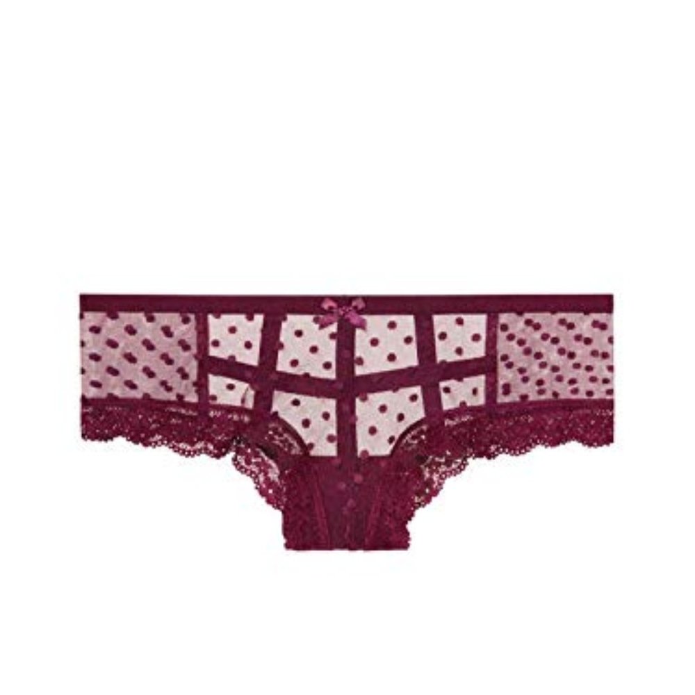 Sexy Kir Polka Dots Mesh & Lace Trim Cheeky Panty